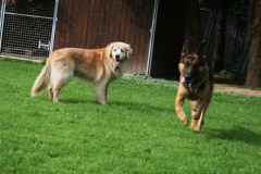 Sammy & Max
