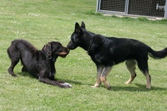 Rudi & Hiba