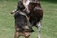 Apollo & Luca