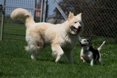 Miakota & Jacky
