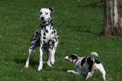 Happy & Deacon