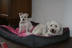 Kicky & Lotta