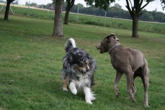 Jazzman & Emma