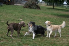 Emma, Jazzman & Loona