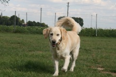 Loona
