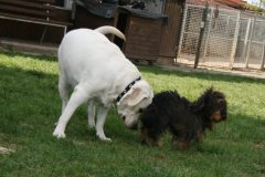 Maggy & Consano