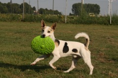 Billy