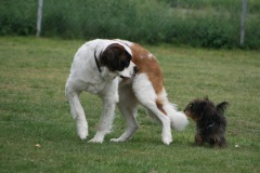 Tamira & Consano